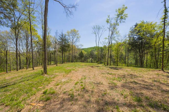 1 Johnson Hollow Road, Thompsons Station, TN 37179