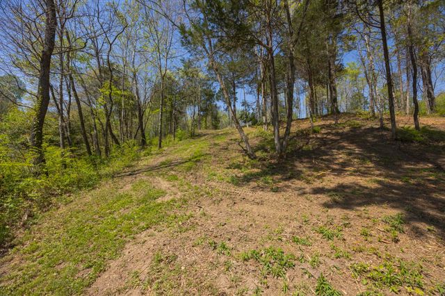 1 Johnson Hollow Road, Thompsons Station, TN 37179