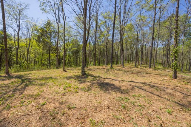1 Johnson Hollow Road, Thompsons Station, TN 37179