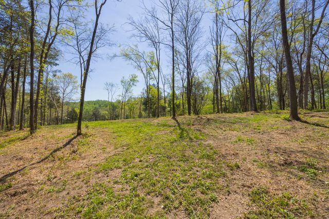 1 Johnson Hollow Road, Thompsons Station, TN 37179