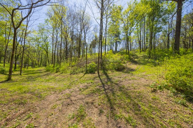 1 Johnson Hollow Road, Thompsons Station, TN 37179