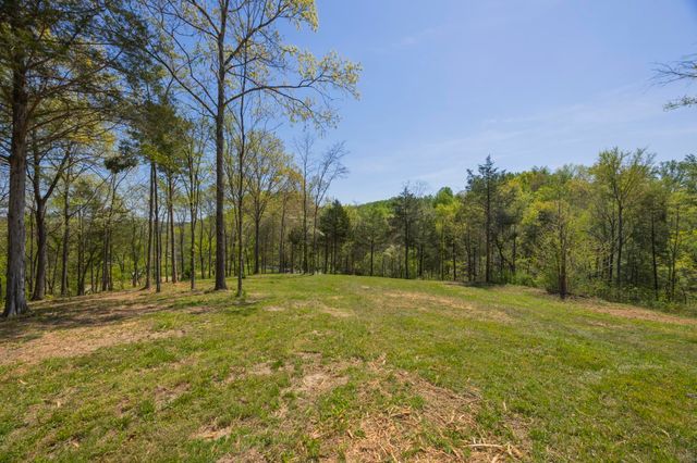 1 Johnson Hollow Road, Thompsons Station, TN 37179