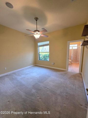 8421 Charleston Drive, Weeki Wachee, FL 34613