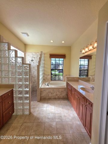 8421 Charleston Drive, Weeki Wachee, FL 34613