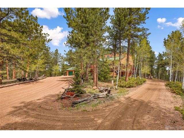 381 Saddleback Creek Dr, Florissant, CO 80816