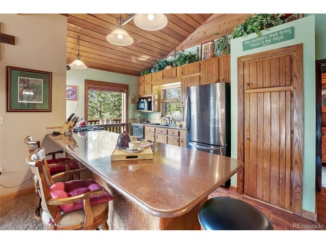 381 Saddleback Creek Dr, Florissant, CO 80816