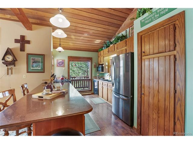 381 Saddleback Creek Dr, Florissant, CO 80816