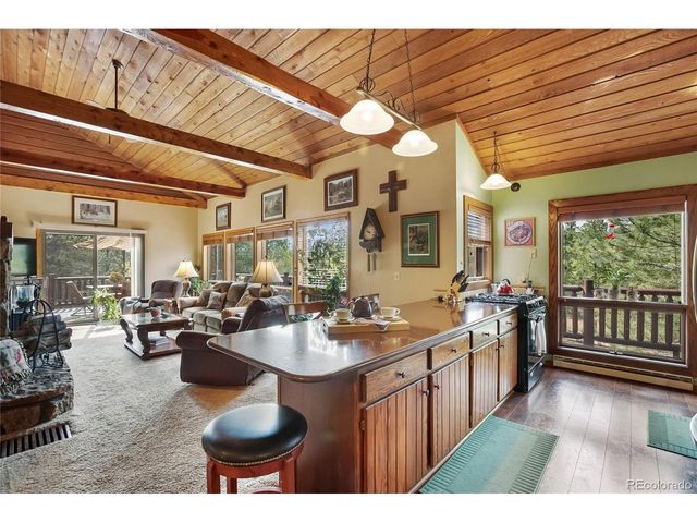 381 Saddleback Creek Dr, Florissant, CO 80816