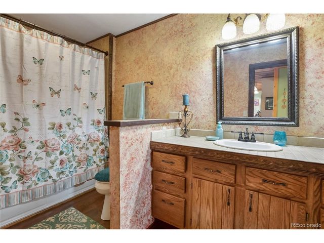 381 Saddleback Creek Dr, Florissant, CO 80816