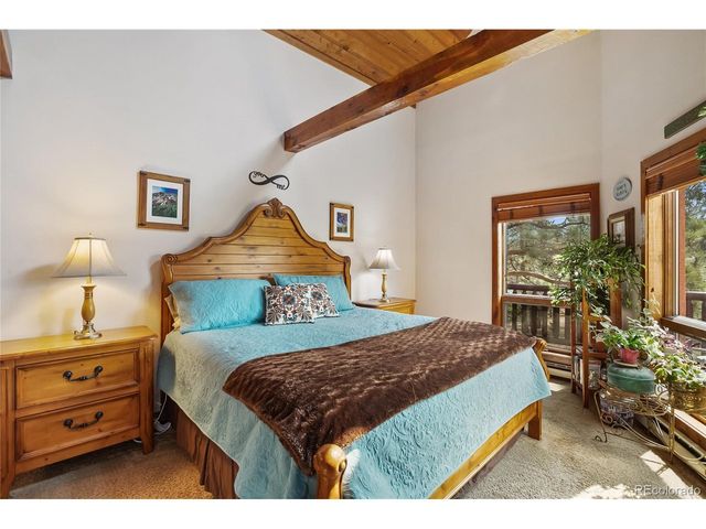 381 Saddleback Creek Dr, Florissant, CO 80816