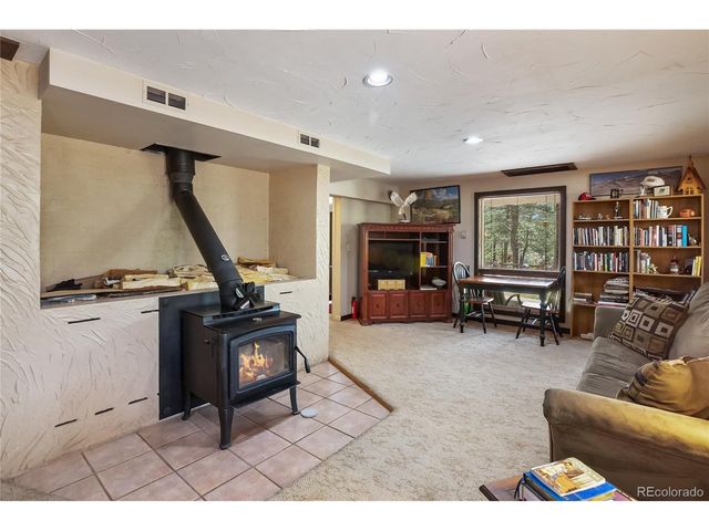 381 Saddleback Creek Dr, Florissant, CO 80816