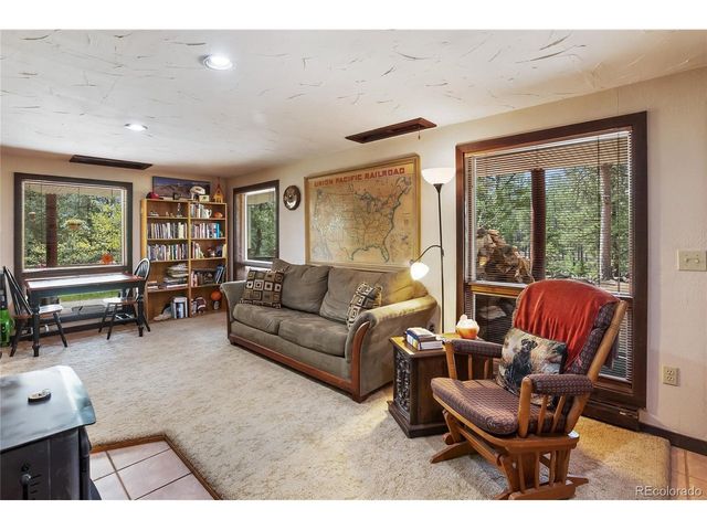 381 Saddleback Creek Dr, Florissant, CO 80816