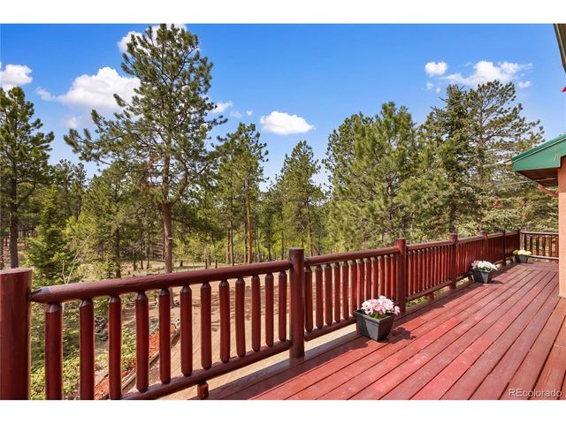 381 Saddleback Creek Dr, Florissant, CO 80816