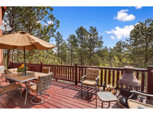 381 Saddleback Creek Dr, Florissant, CO 80816