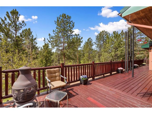 381 Saddleback Creek Dr, Florissant, CO 80816