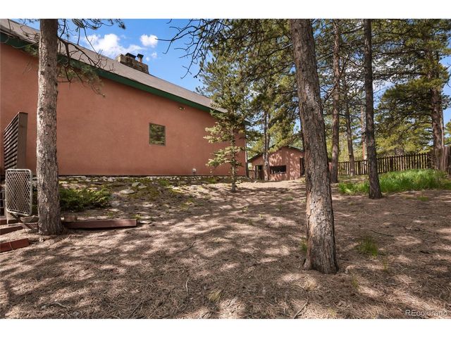 381 Saddleback Creek Dr, Florissant, CO 80816
