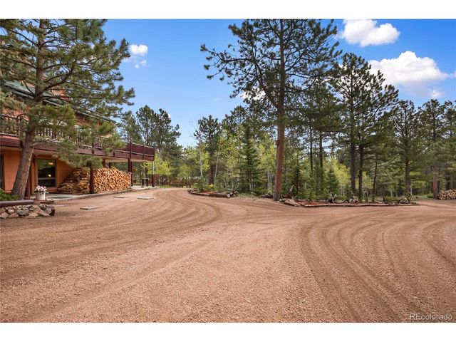381 Saddleback Creek Dr, Florissant, CO 80816