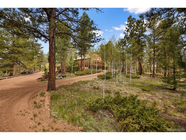 381 Saddleback Creek Dr, Florissant, CO 80816