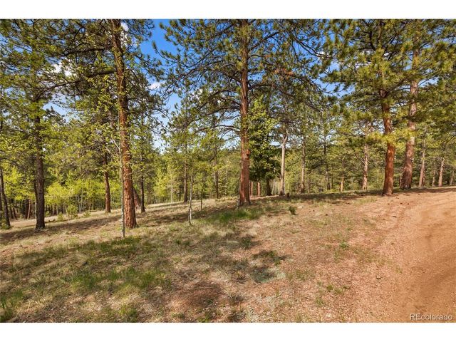 381 Saddleback Creek Dr, Florissant, CO 80816