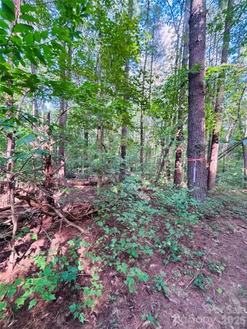 7865 Long Bay Parkway, Catawba, NC 28609