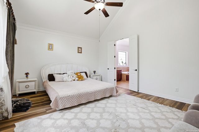 3023 spider lily, San Antonio, TX 78258