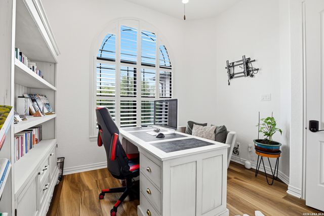 3023 spider lily, San Antonio, TX 78258