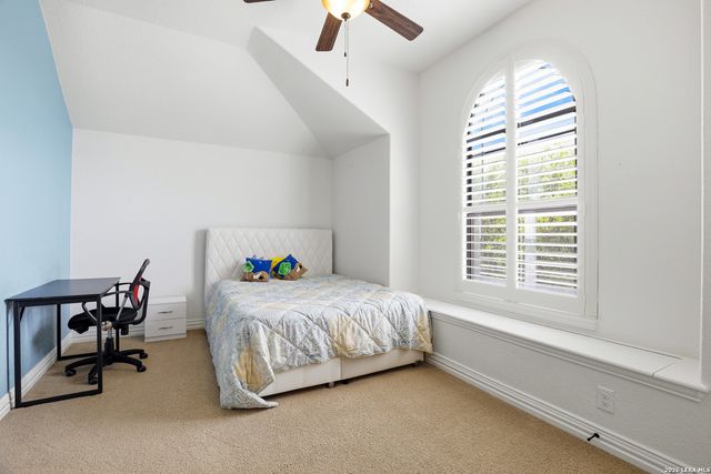 3023 spider lily, San Antonio, TX 78258