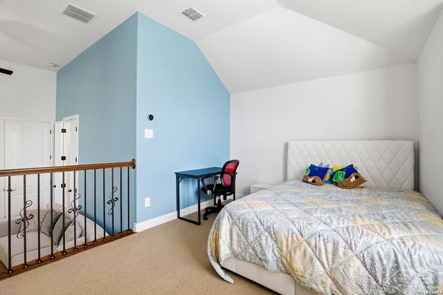 3023 spider lily, San Antonio, TX 78258