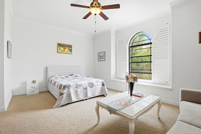 3023 spider lily, San Antonio, TX 78258