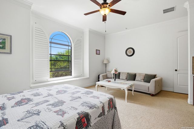 3023 spider lily, San Antonio, TX 78258