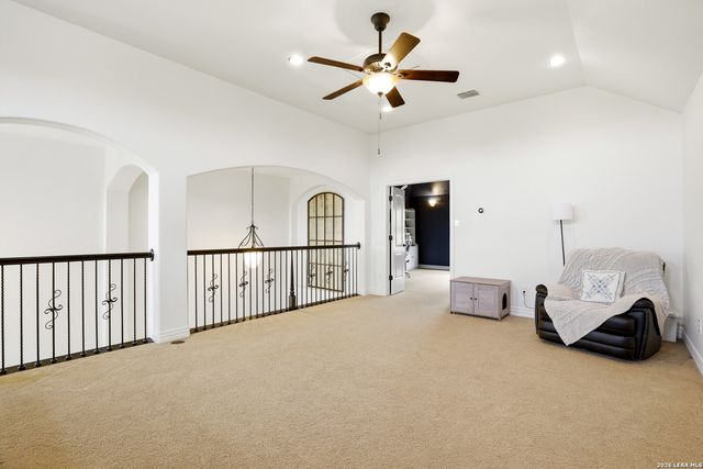 3023 spider lily, San Antonio, TX 78258