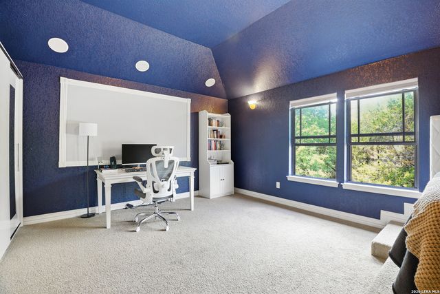 3023 spider lily, San Antonio, TX 78258