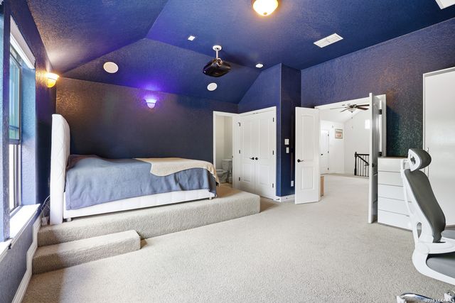 3023 spider lily, San Antonio, TX 78258