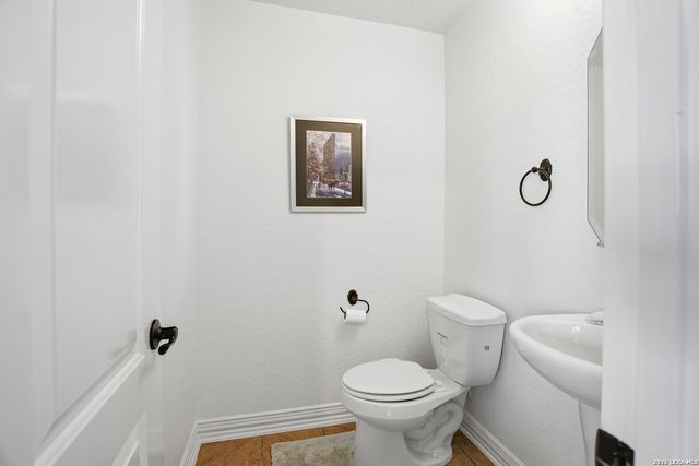 3023 spider lily, San Antonio, TX 78258