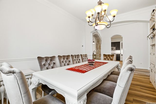 3023 spider lily, San Antonio, TX 78258