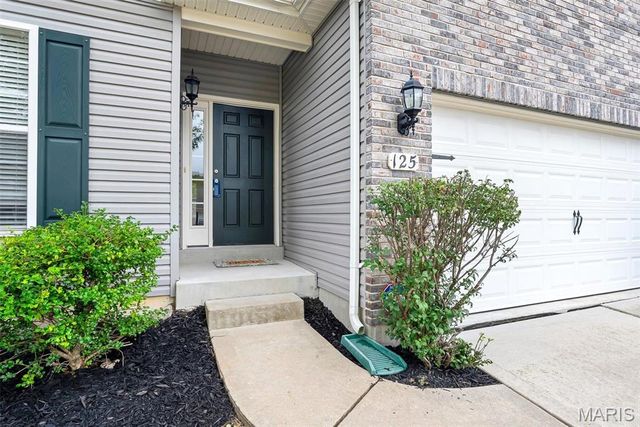 125 San Marino Parkway, Fenton, MO 63026