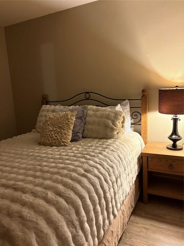 106 S Mount Rushmore DR, Cedar Park, TX 78613