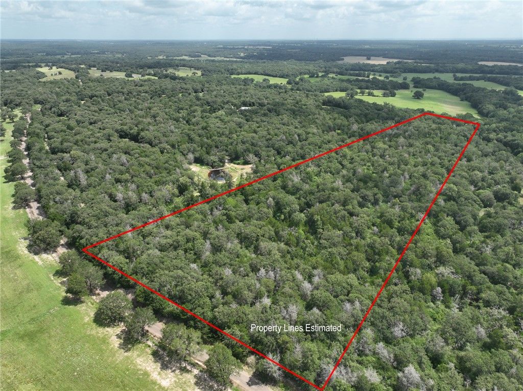 +- 15 Acres County Road 333, Caldwell, TX 77836 — photo 2