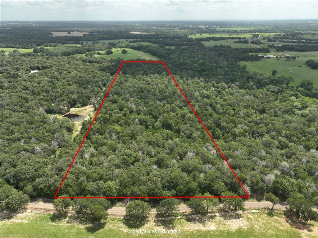 +- 15 Acres County Road 333, Caldwell, TX 77836 — photo 3