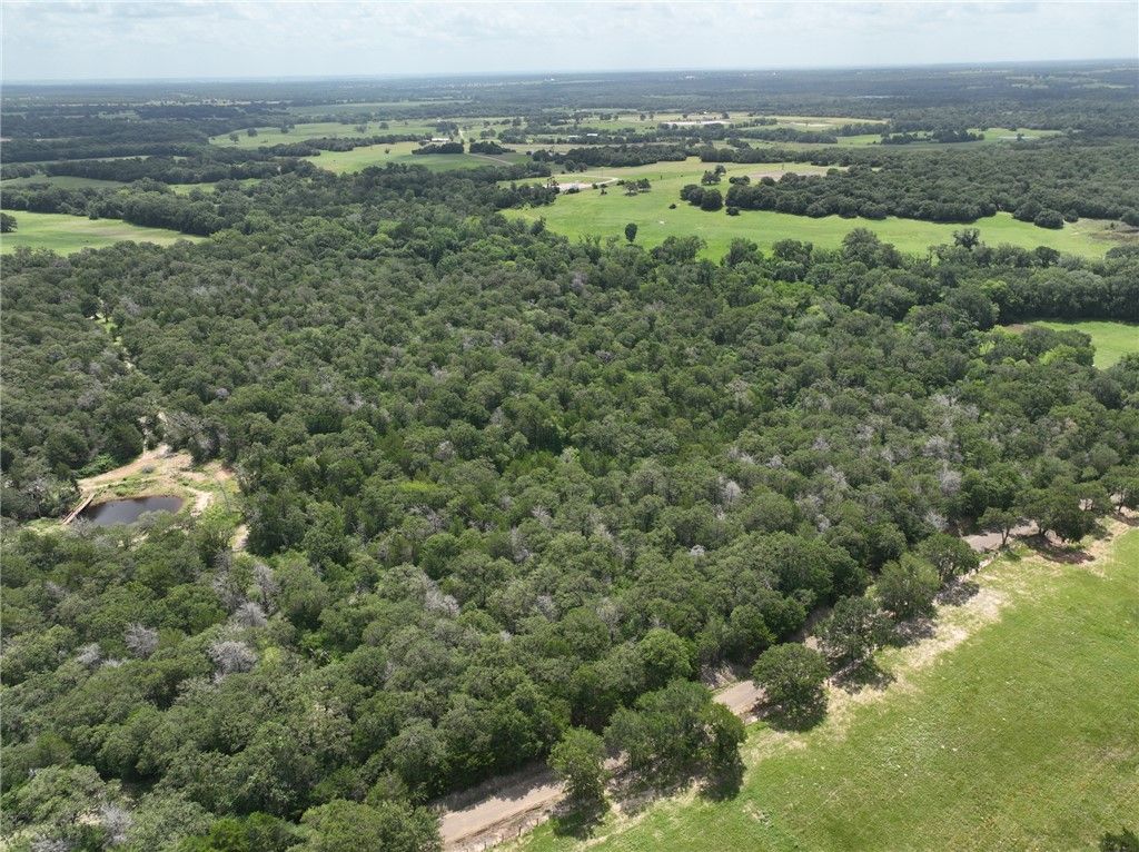 +- 15 Acres County Road 333, Caldwell, TX 77836 — photo 4