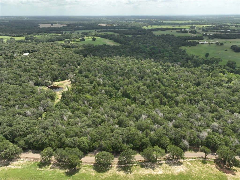 +- 15 Acres County Road 333, Caldwell, TX 77836 — photo 5