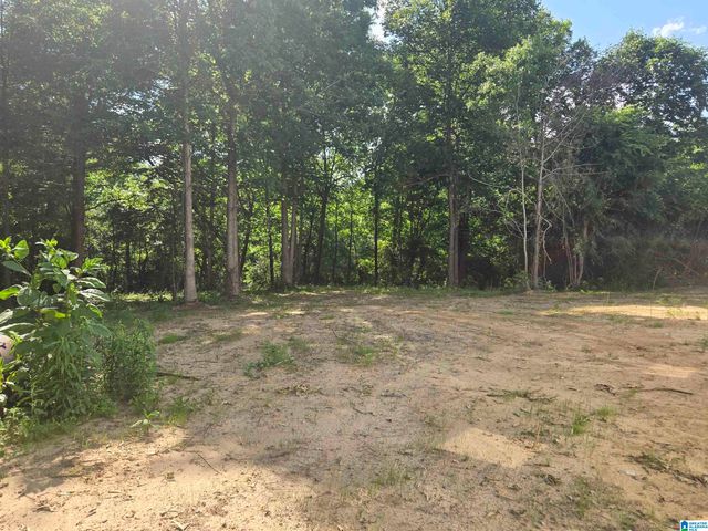 1841 ALABAMA HIGHWAY 67, Blountsville, AL 35031
