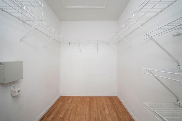 1231 CHARLESWORTH DRIVE, Wesley Chapel, FL 33543