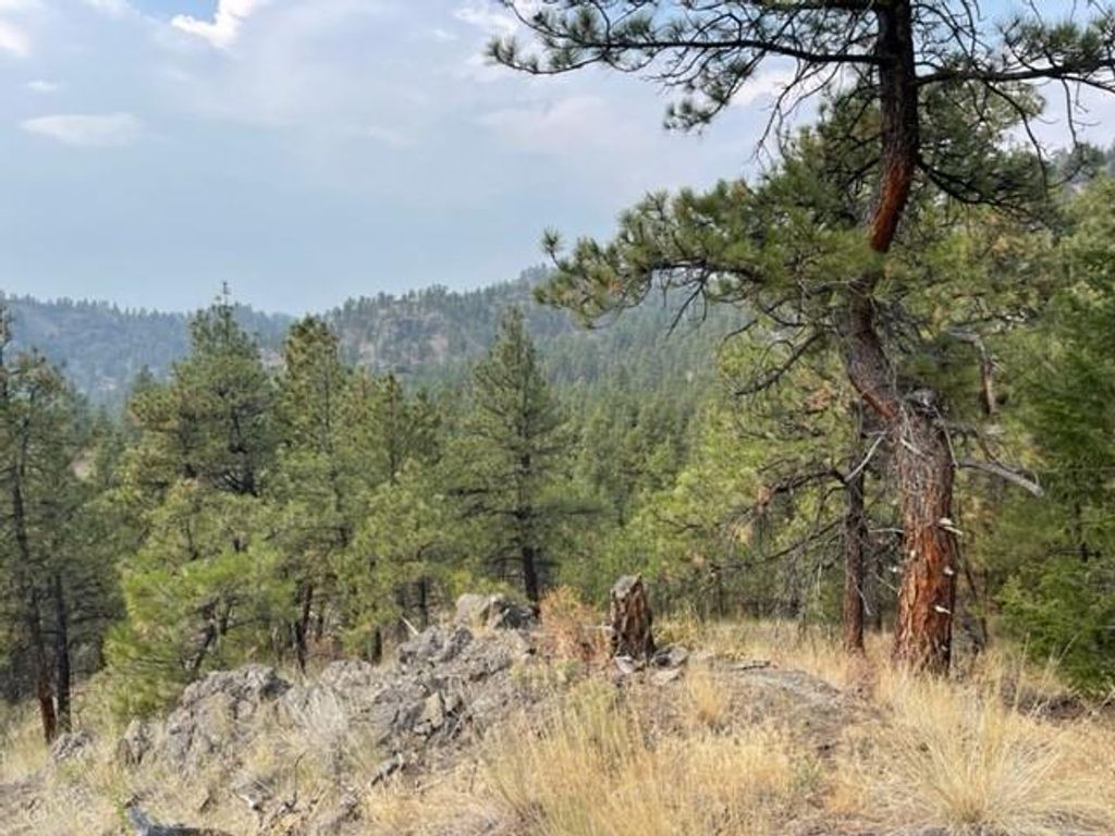 TBD Mountain Home Lane, Cascade, MT 59421 photo 11