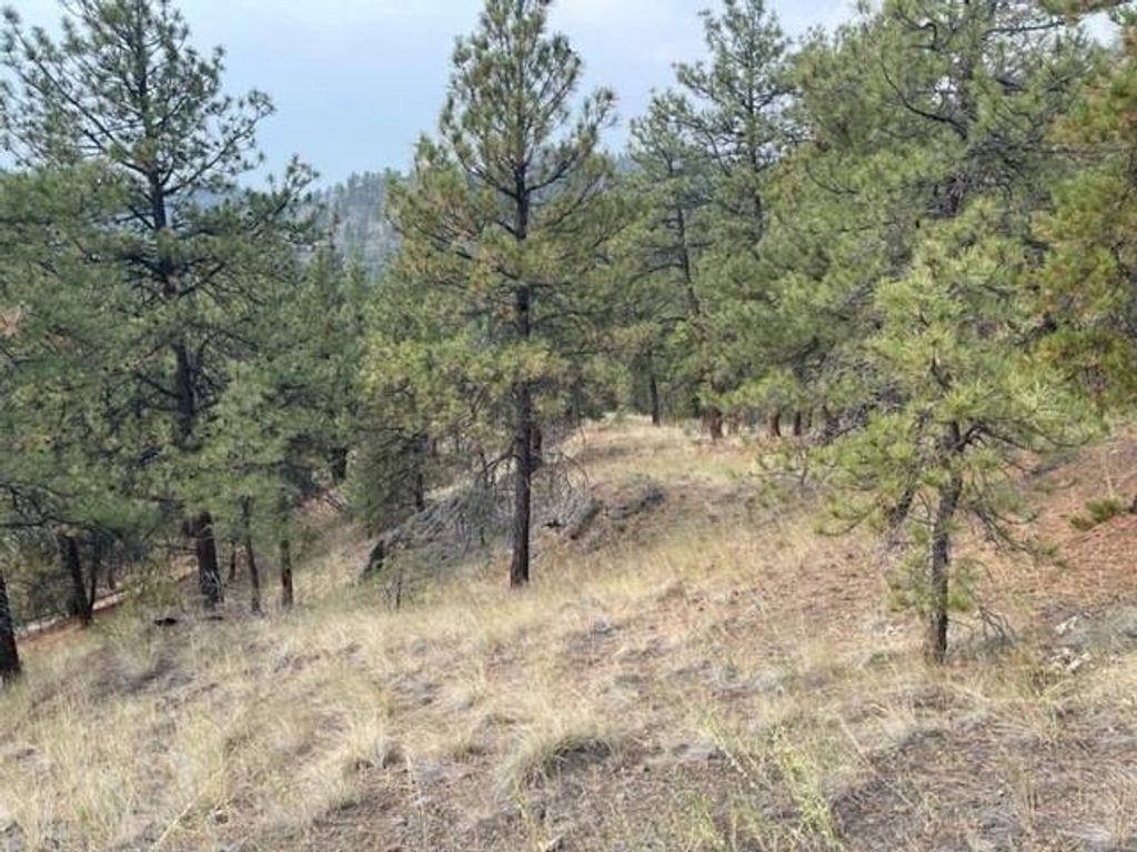 TBD Mountain Home Lane, Cascade, MT 59421 photo 4