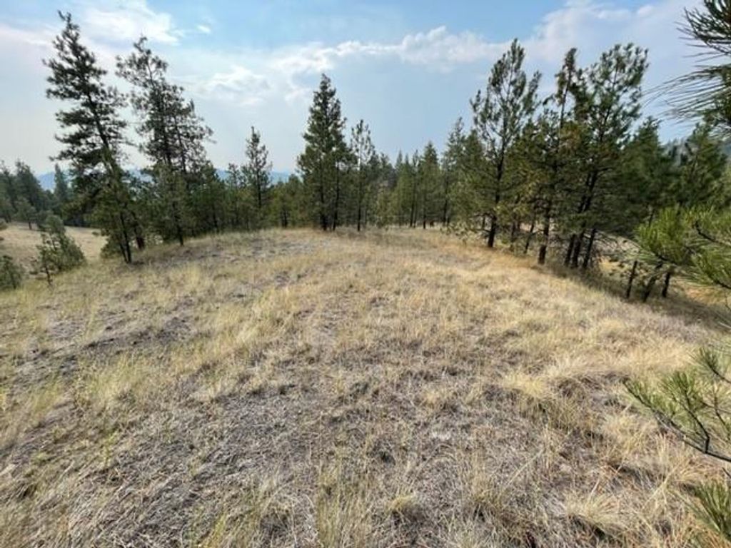 TBD Mountain Home Lane, Cascade, MT 59421 photo 5