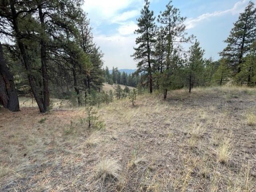 TBD Mountain Home Lane, Cascade, MT 59421 photo 6