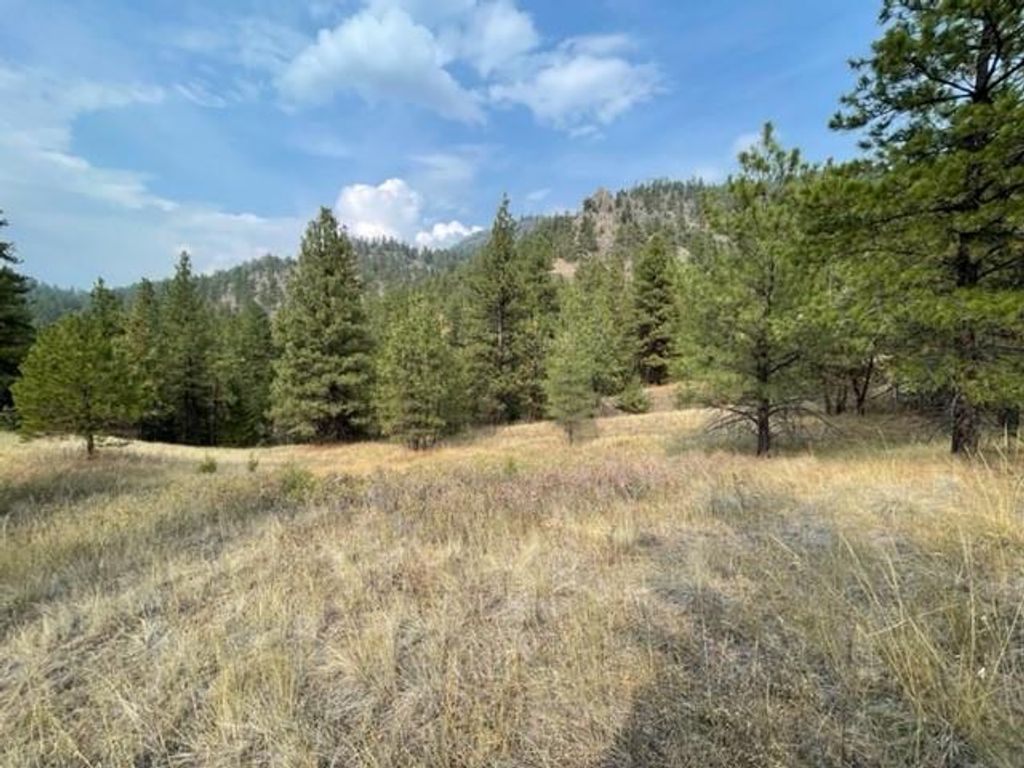 TBD Mountain Home Lane, Cascade, MT 59421 photo 7