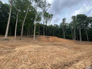 A 900 County Road 114, Scottsboro, AL 35769