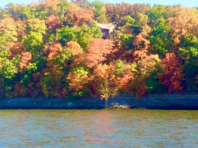 2929 County Road 356, Eucha, OK 74342